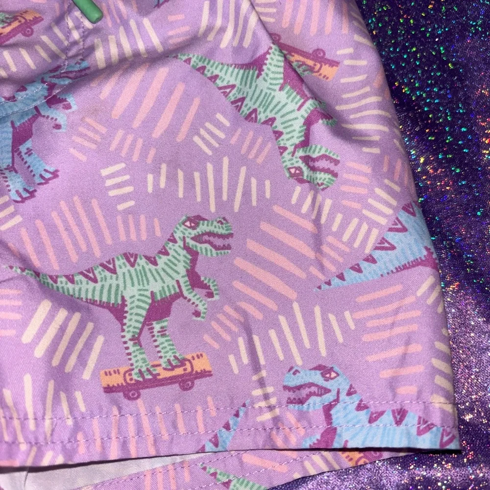 Boys Dinosaur swim trunks